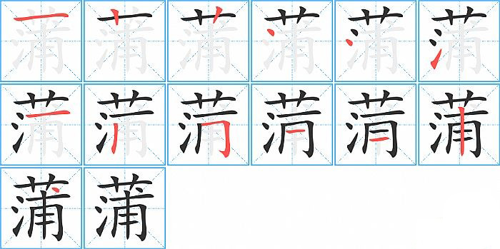 蒲的笔顺分步演示图