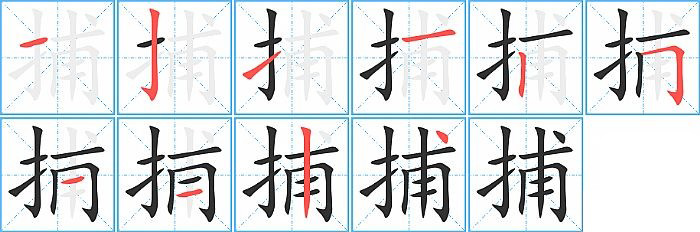 捕的笔顺分步演示图