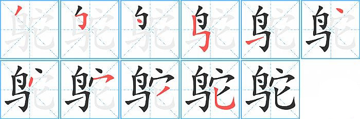 鸵的笔顺分步演示图