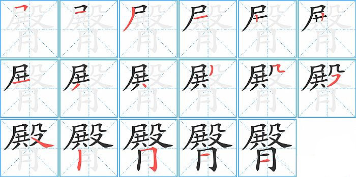 臀的笔顺分步演示图