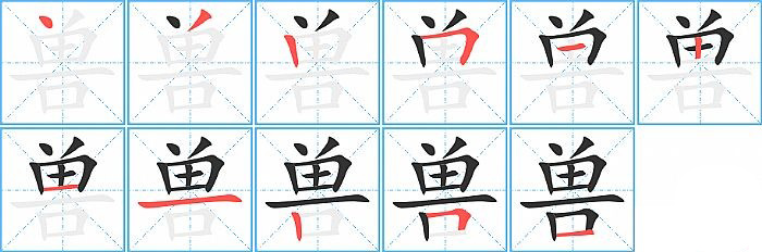 兽的笔顺分步演示图