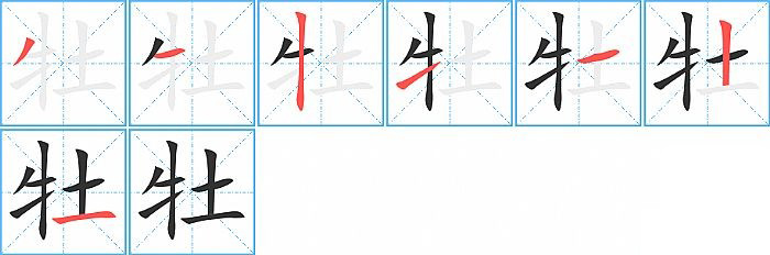 牡的笔顺分步演示图