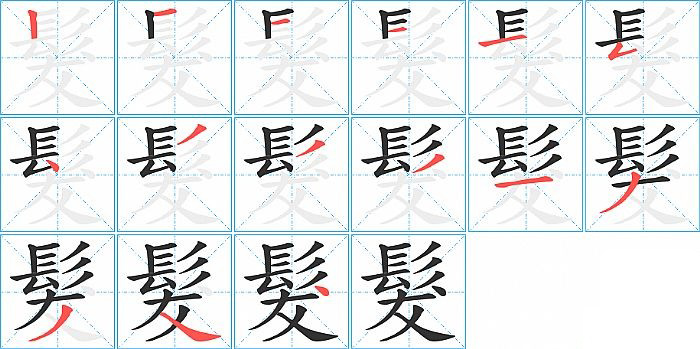髮的笔顺分步演示图