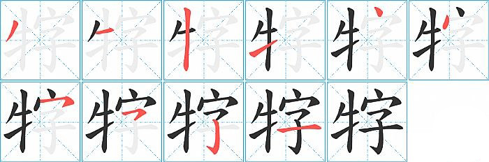 牸的笔顺分步演示图