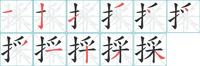 採的笔顺分步演示图