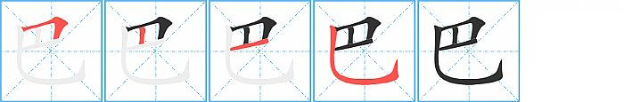 巴的笔顺分步演示图