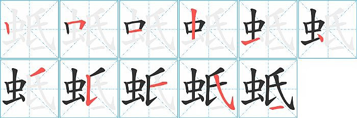 蚳的笔顺分步演示图