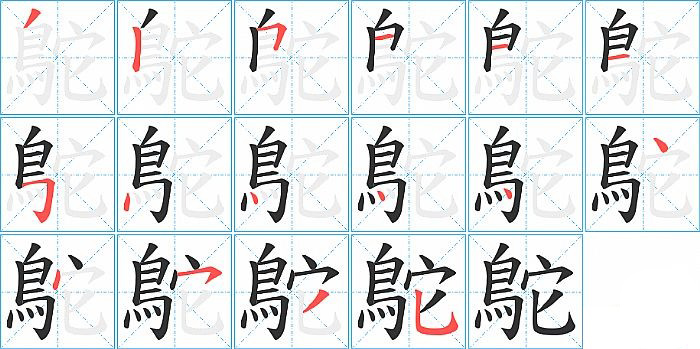 鴕的笔顺分步演示图