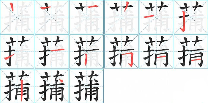 蒱的笔顺分步演示图