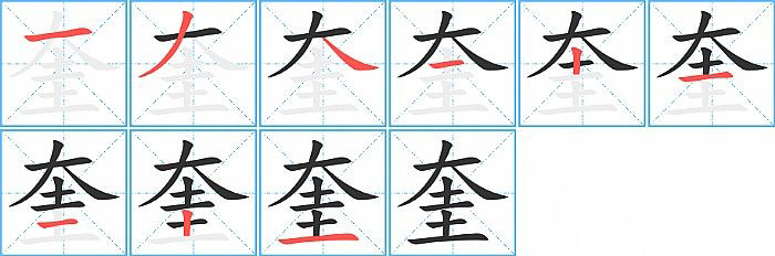 奎的笔顺分步演示图